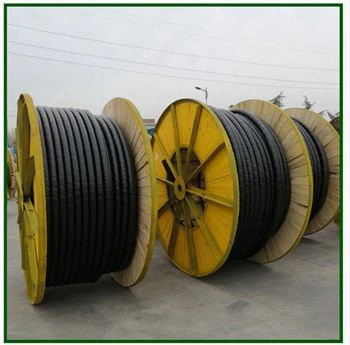 Cáp cách điện XLPE 2 lõi