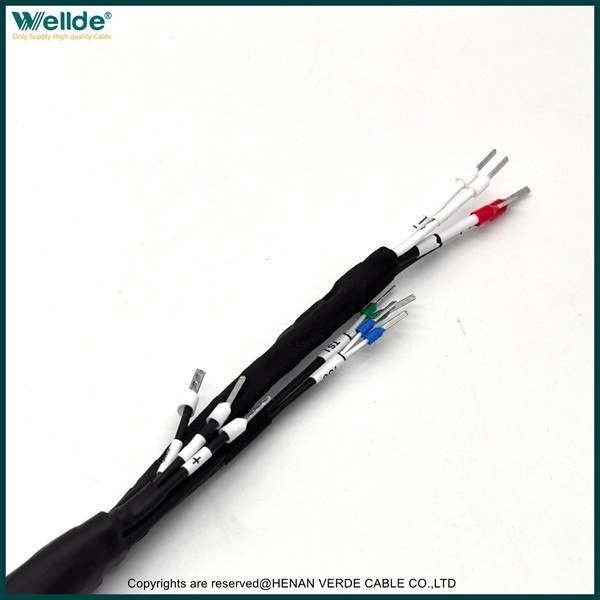 Customized Wiring Harness factory