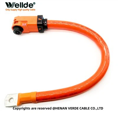 Cáp lưu trữ EV điện áp cao 25 mm